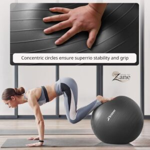 Trideer Yoga Ball Exercise Ball